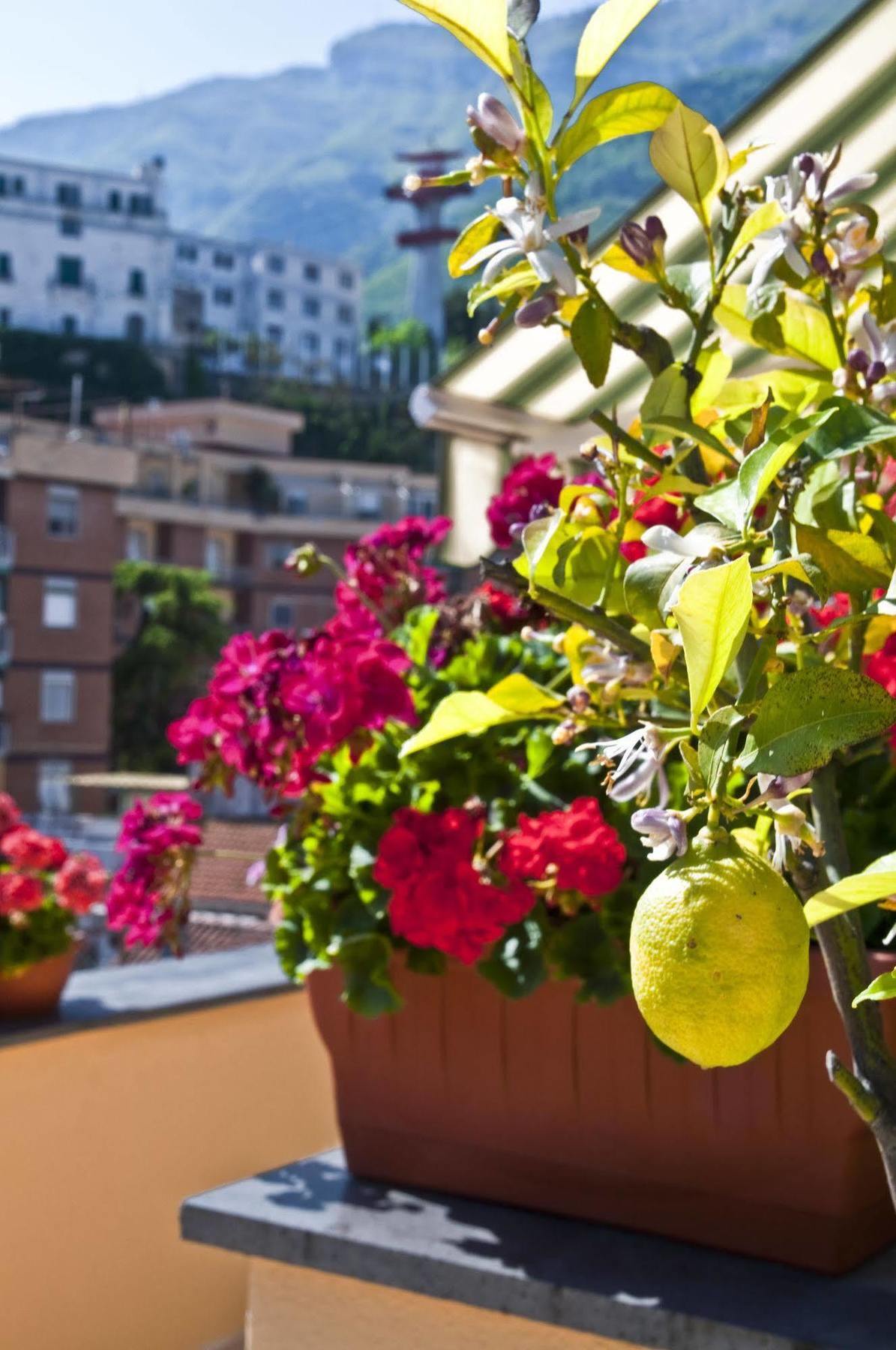 Tetto Fiorito Apartment Castellammare di Stabia Exterior photo